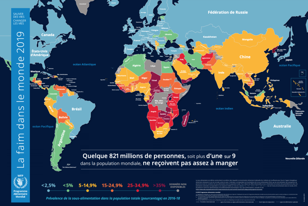 Carte de la faim dans le monde en 2019